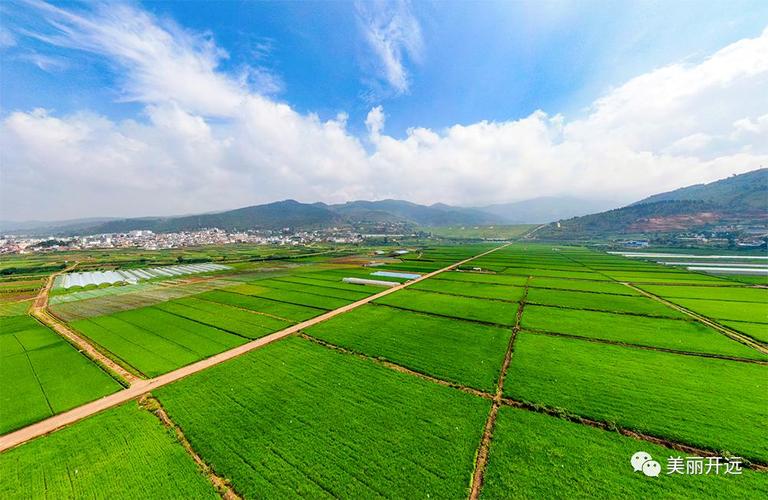 创新实干赋能农业经济稳增长——开远市的探索与实践