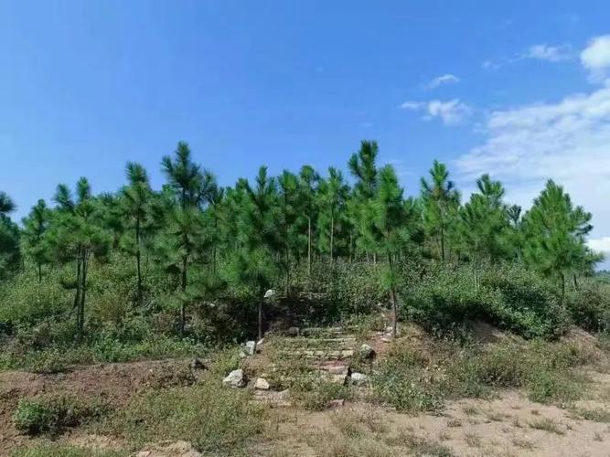 守护生态文明，开远有招！——精神文明创建活动专栏之文明城市篇