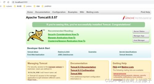 JavaWeb开发 B/S与C/S架构、Tomcat部署及IDE环境搭建详解